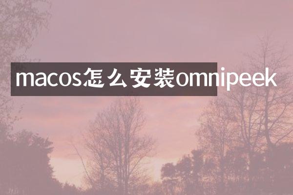 macos怎么安装omnipeek