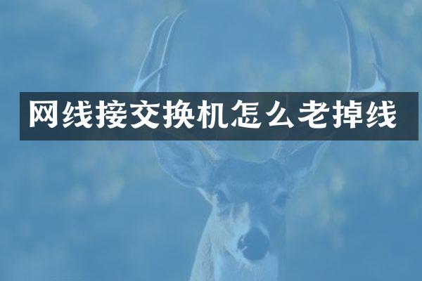 网线接交换机怎么老掉线