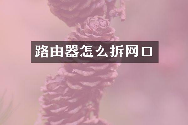 路由器怎么拆网口
