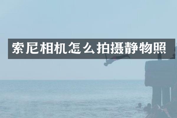 相机怎么拍摄静物照