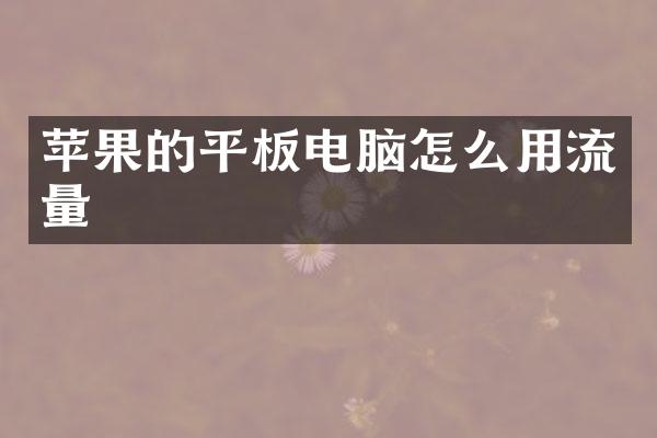 苹果的平板电脑怎么用流量