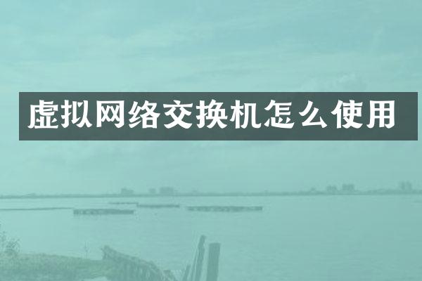 虚拟网络交换机怎么使用