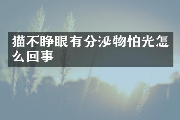 猫不睁眼有分泌物怕光怎么回事