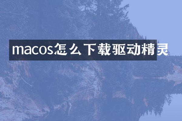 macos怎么下载驱动精灵