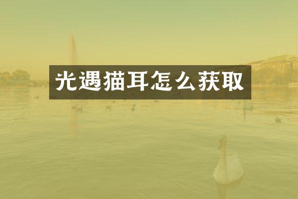 光遇猫耳怎么获取