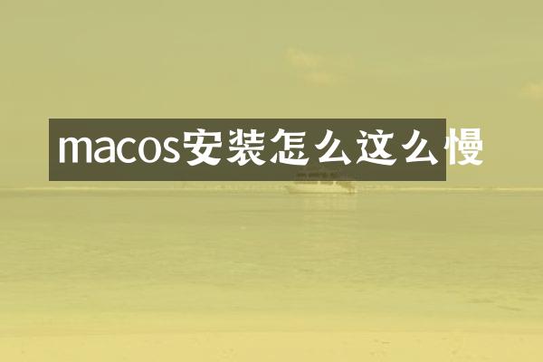 macos安装怎么这么慢