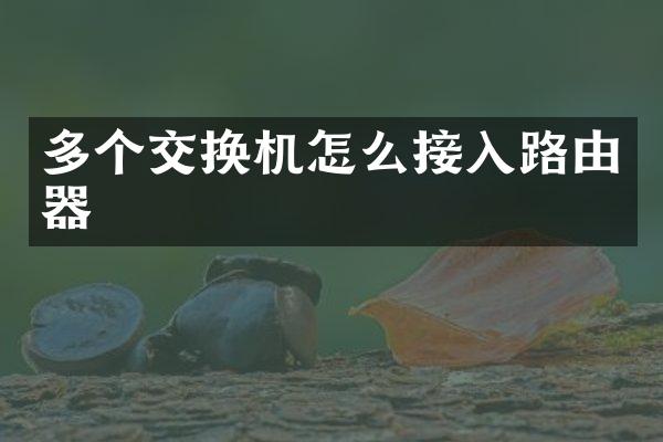 多个交换机怎么接入路由器