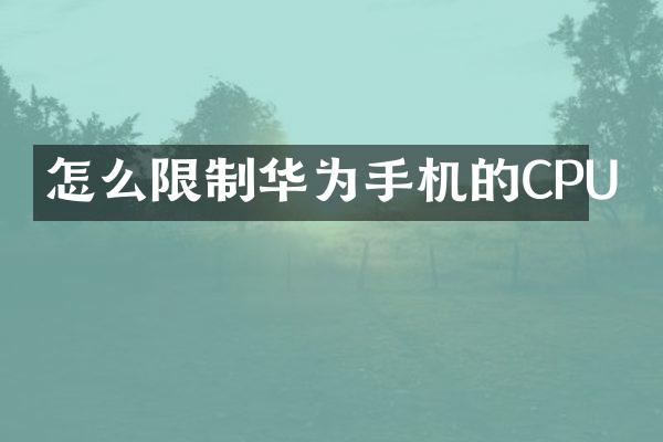 怎么限制华为手机的CPU