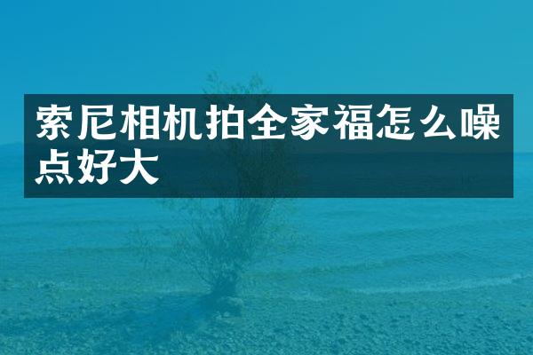 相机拍全家福怎么噪点好大