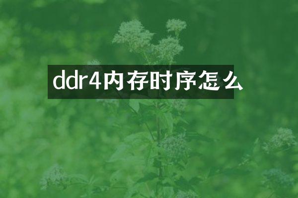 ddr4内存时序怎么