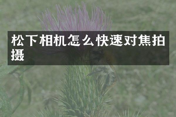 相机怎么快速对焦拍摄
