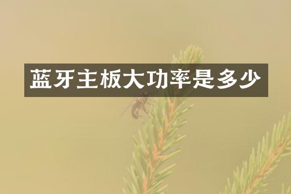 蓝牙主板大功率是多少