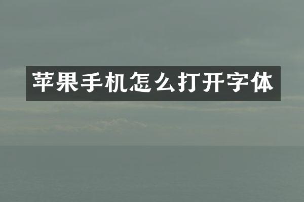 苹果手机怎么打开字体