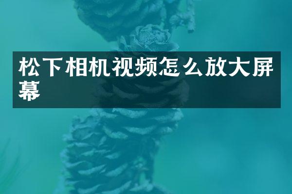 相机视频怎么放大屏幕