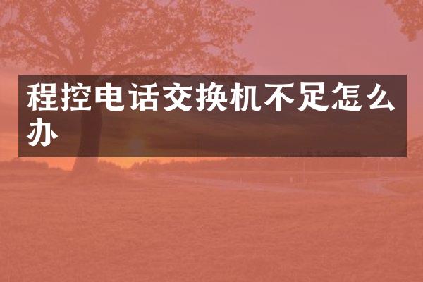 程控电话交换机不足怎么办