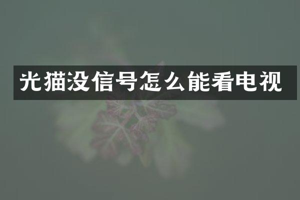 光猫没信号怎么能看电视