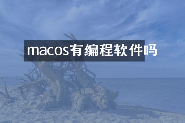 macos有编程软件吗