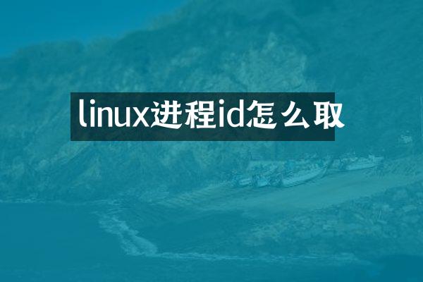 linux进程id怎么取