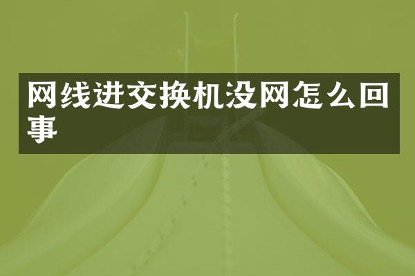 网线进交换机没网怎么回事