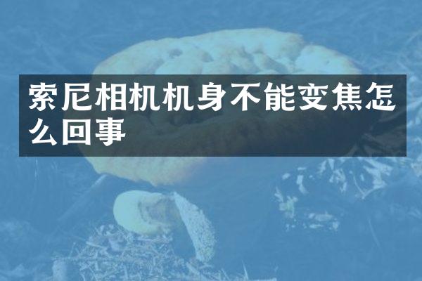 相机机身不能变焦怎么回事