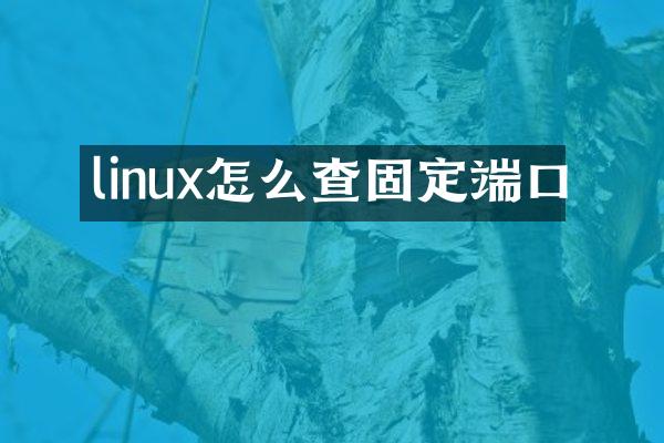 linux怎么查固定端口