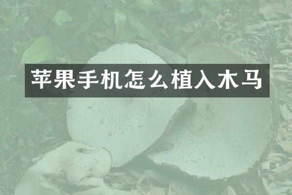 苹果手机怎么植入木马