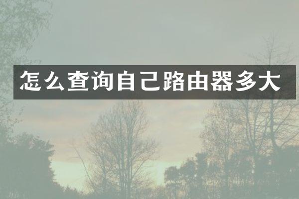 怎么查询自己路由器多大