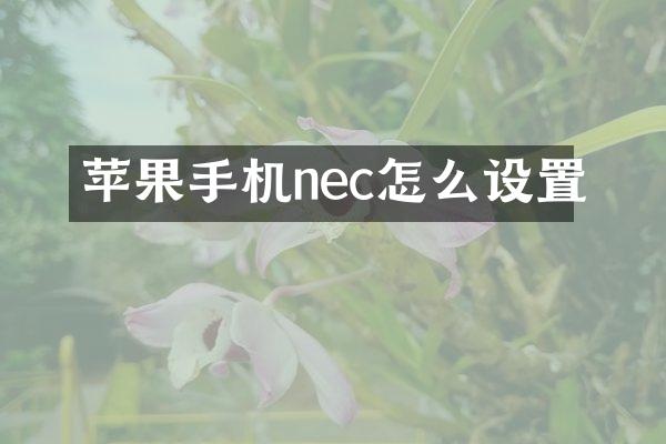苹果手机nec怎么设置