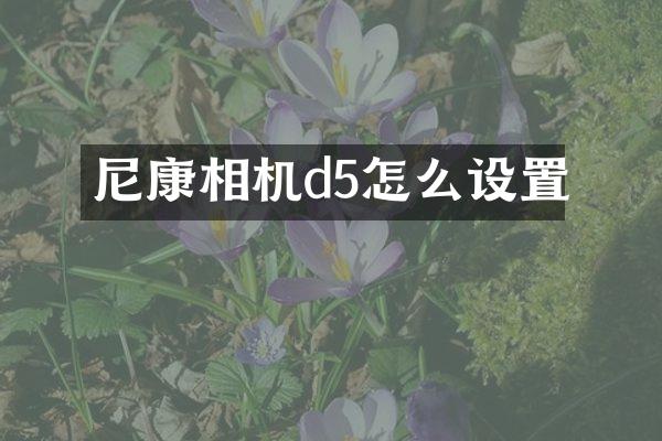 尼康相机d5怎么设置