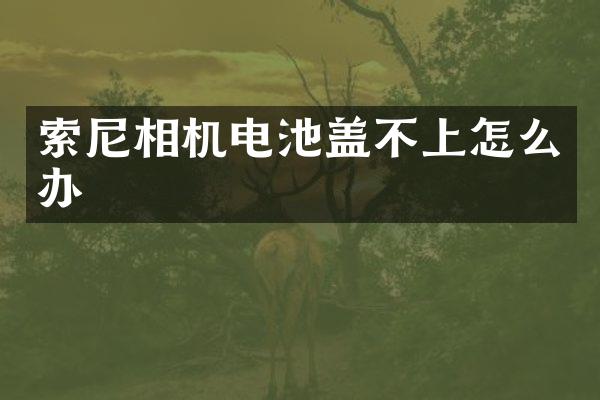 相机电池盖不上怎么办