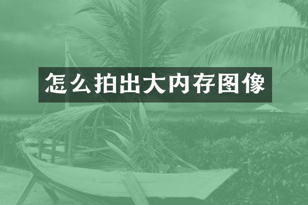 怎么拍出大内存图像