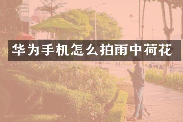 华为手机怎么拍雨中荷花
