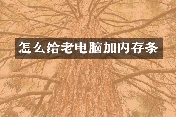 怎么给老电脑加内存条