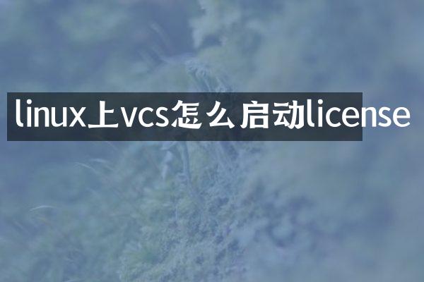 linux上vcs怎么启动license