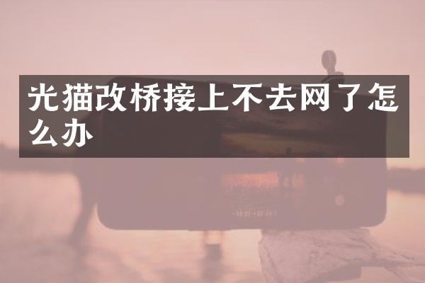 光猫改桥接上不去网了怎么办