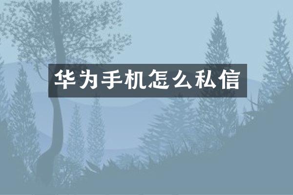 华为手机怎么私信