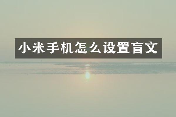 小米手机怎么设置盲文