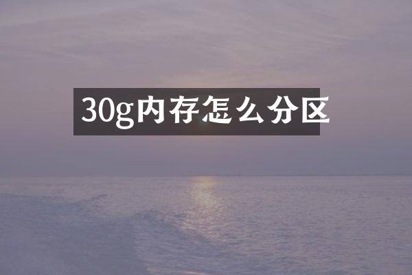 30g内存怎么分区