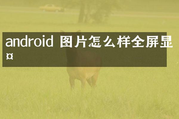 android 图片怎么样全屏显示