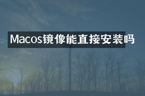Macos镜像能直接安装吗