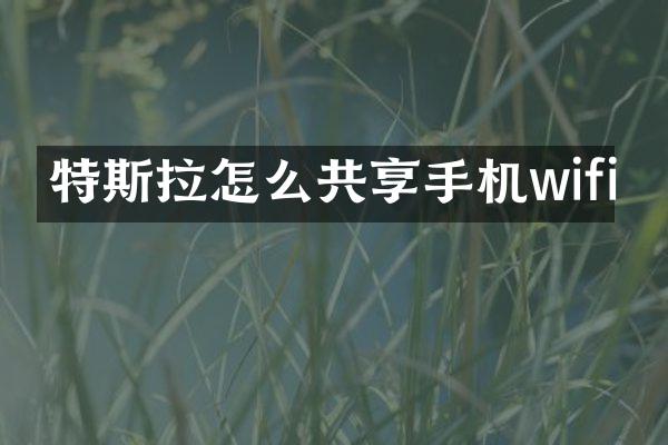 特斯拉怎么共享手机wifi