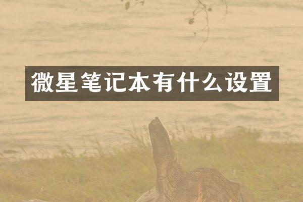 微星笔记本有什么设置