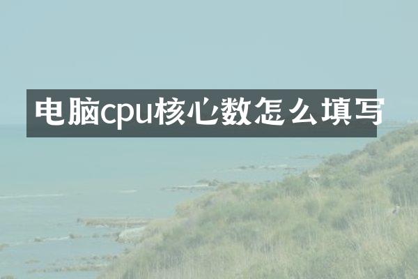 电脑cpu核心数怎么填写