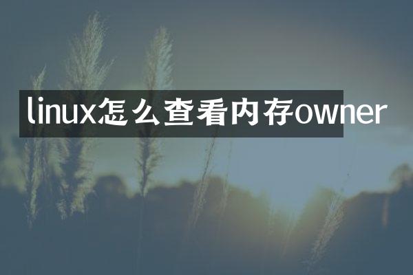 linux怎么查看内存owner