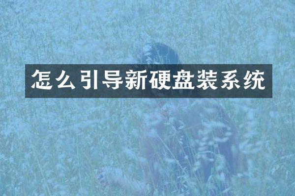 怎么引导新硬盘装系统