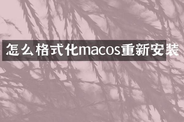怎么格式化macos重新安装