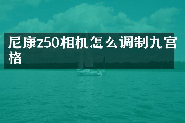 尼康z50相机怎么调制九宫格