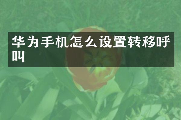 华为手机怎么设置转移呼叫