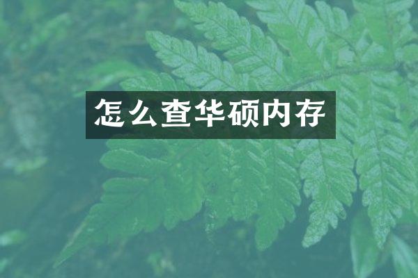 怎么查华硕内存