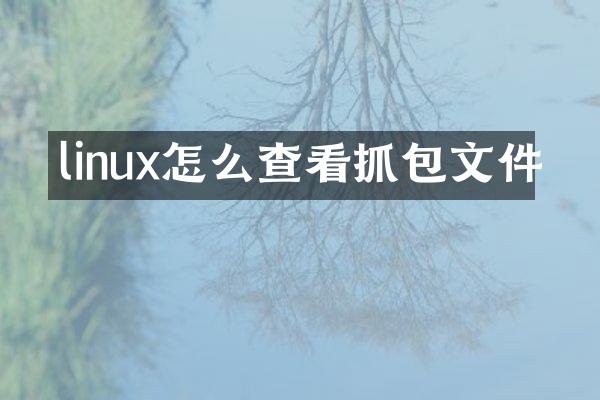 linux怎么查看抓包文件